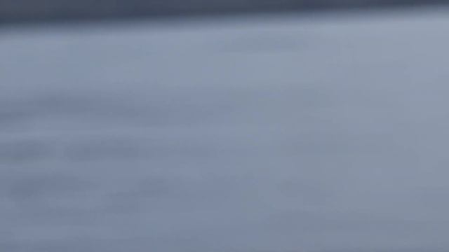 ОХОТА НА КАСАТОК!!! ЭКОЛОГО-ВОСПИТАТЕЛЬНОЕ ПУТЕШЕСТВИЕ НА БАРЕНЦЕВО МОРЕ И ЛАДОЖСКОЕ ОЗЕРО. смотреть онлайн