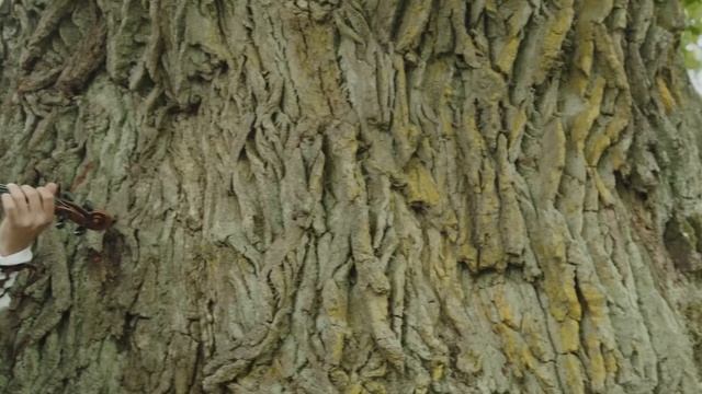 Ozoliņi - Auļi, Suitu Sievas, Suitu Vīri, Suitu Dūdenieki, Ilža, Otto Trapāns, Tarkšķi, Vilkači