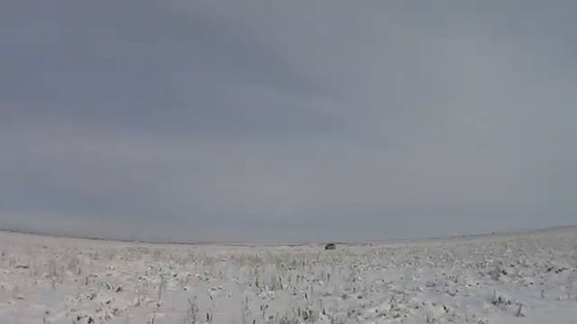 охота на зайца в степи 2021 смотреть онлайн