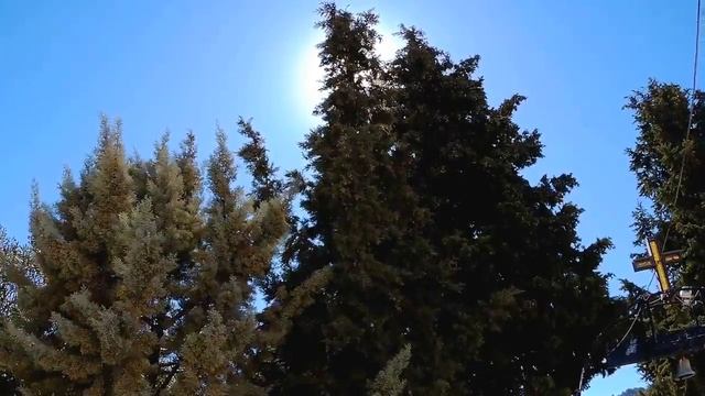 родос долина бабочек храм дерево смотреть онлайн