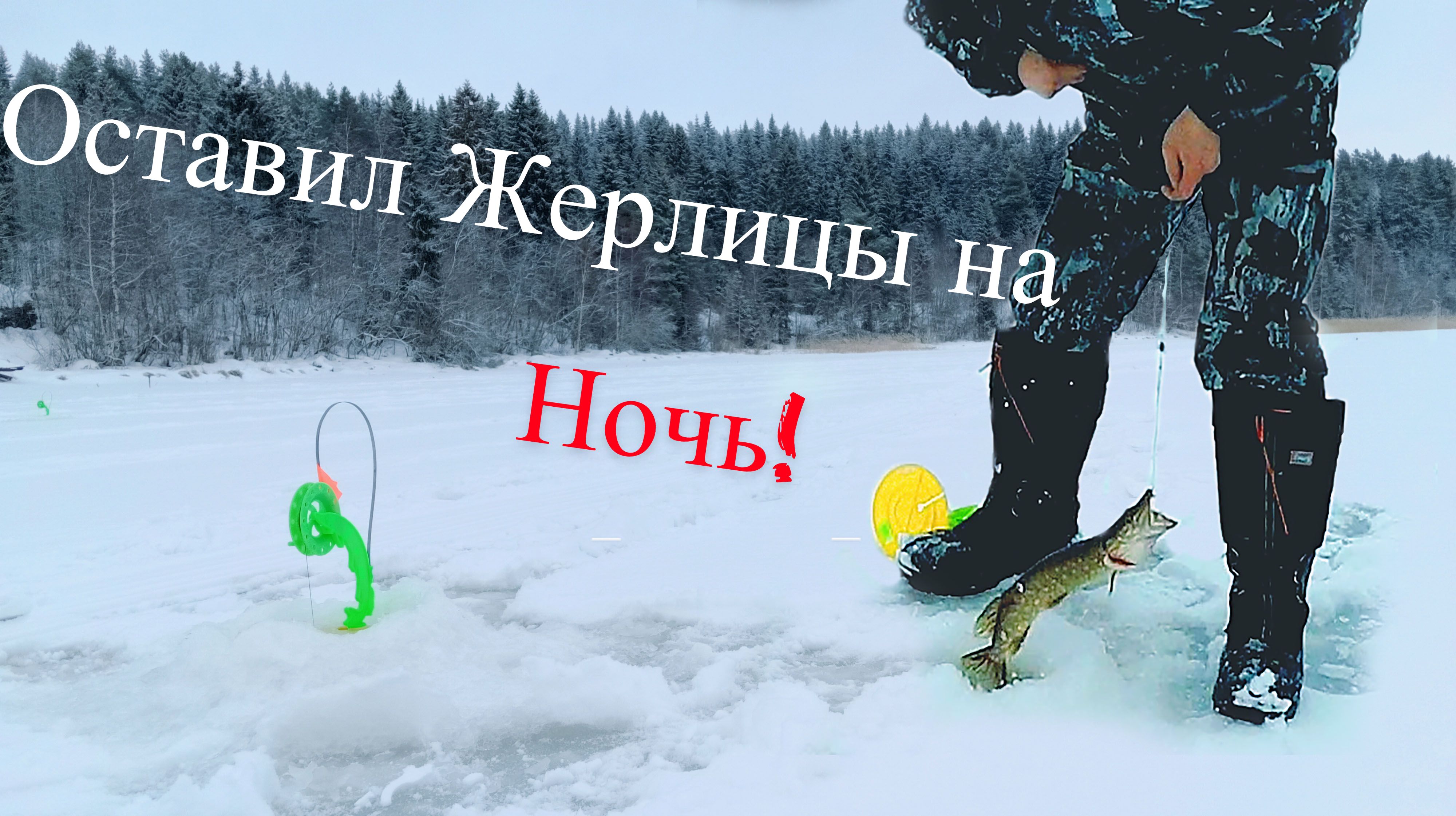 Оставил ЖЕРЛИЦЫ на НОЧЬ | ЛОВЛЯ ЩУКИ на ЖИВЦА !