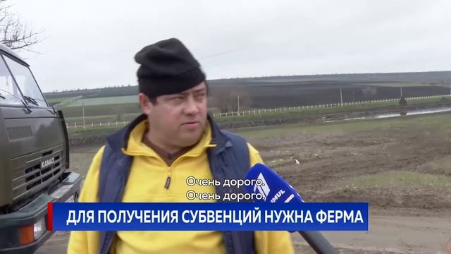 ДЛЯ ПОЛУЧЕНИЯ СУБВЕНЦИЙ НУЖНА ФЕРМА смотреть онлайн