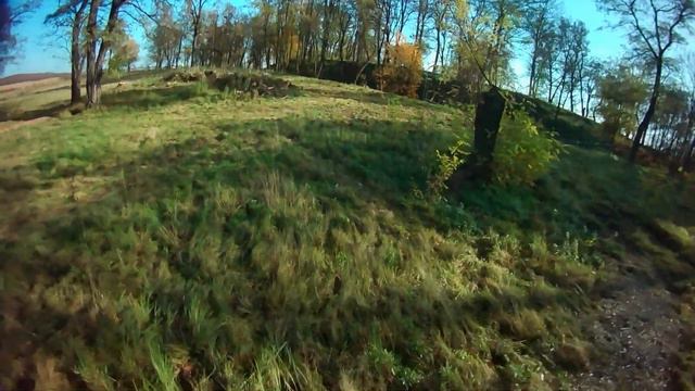 Tree inspection | FPV freestyle смотреть онлайн