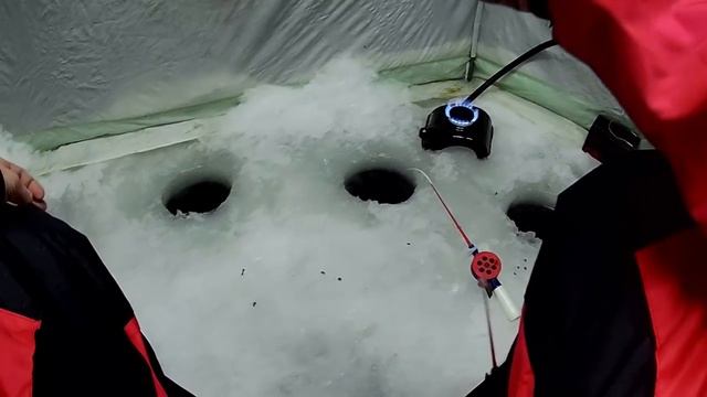 Лещ, Налим, Тобол!!! смотреть онлайн