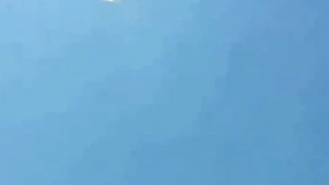 Игра Иранских  Голубей #tauben #pigeons