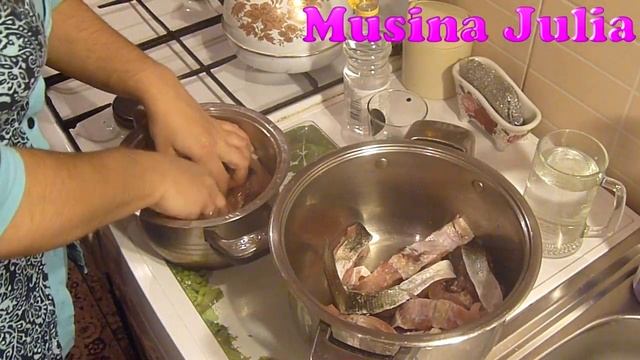 Художественная Гимнастика