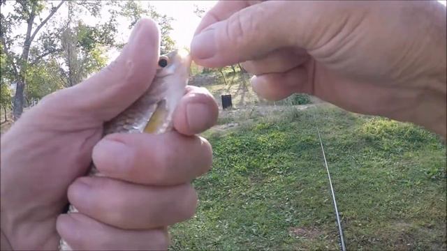 РЫБОЛОВ ИВАНОВИЧ. Рыбалка в конце лета. смотреть онлайн