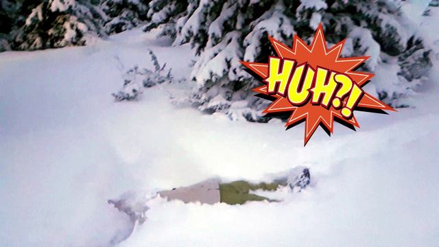 маша лес смотреть онлайн