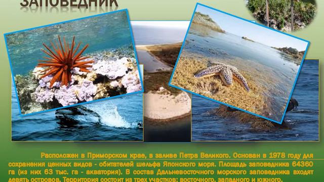 Заповедники