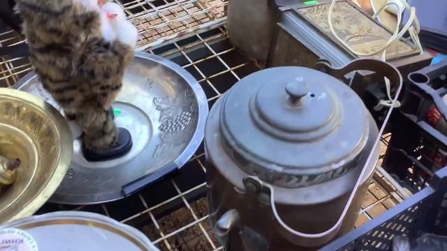 Блошиный рынок в Питере . Это впервые увидела . Столько много кукол . Барахолка 7 июня /2021 смотреть онлайн