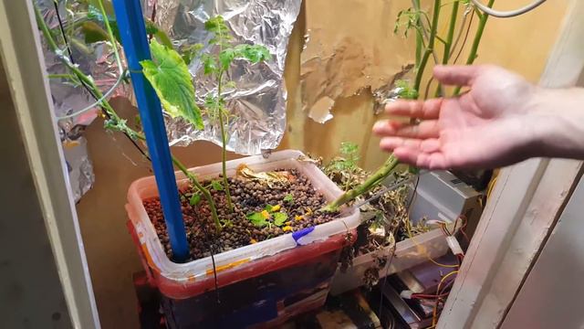 Время собирать урожай:) смотреть онлайн