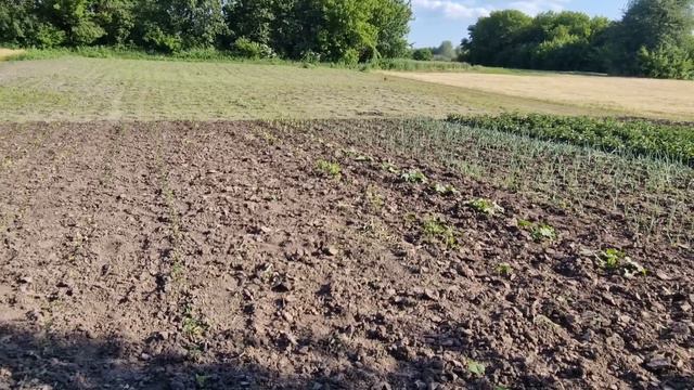 вставил окна! смотреть онлайн