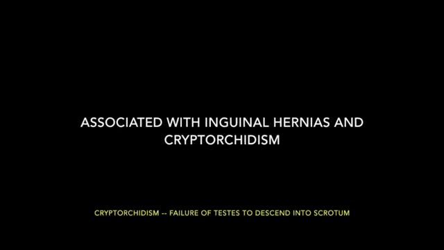 "SING ME USMLE" -- EMBRYO: GENITALS/APGAR смотреть онлайн