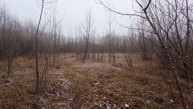 Атмосферная прогулка. смотреть онлайн