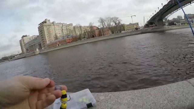 Breaden SWG Specimen 86 3T Tiptoptwo. Большой обзор