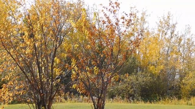 Peaceful Meditation Music For Sleep And Relaxation – Beyond Space And Time