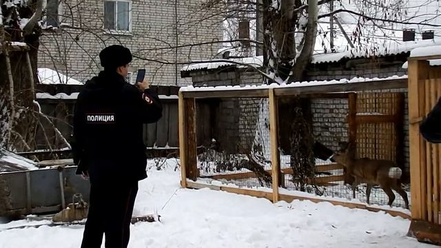 ЖИВОДЁРЫ в МОМРОиР смотреть онлайн