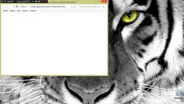 Как посмотреть пароль от Wi-fi на ноутбуке windows 10 и 8 смотреть онлайн