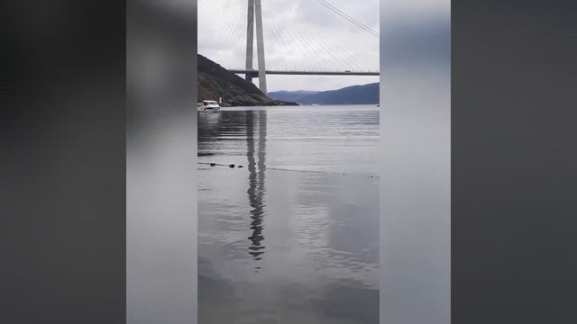 Мой любимый Стамбул! Черное море в Стамбуле! смотреть онлайн