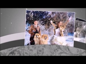 Элегантные свадебные шаблоны для слайд-шоу