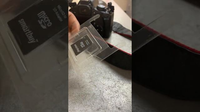 10 сентября 2022 г. смотреть онлайн