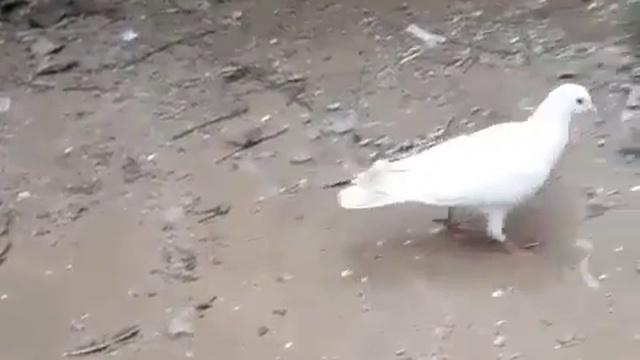 давай поиграем! смотреть онлайн