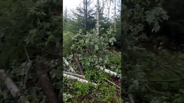 первый день подготовки участка к строительству дома выторфовка смотреть онлайн