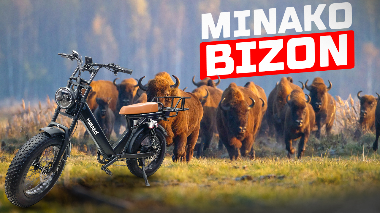 Minako Bizon просто удобный и функциональный электрофэтбайк. смотреть онлайн
