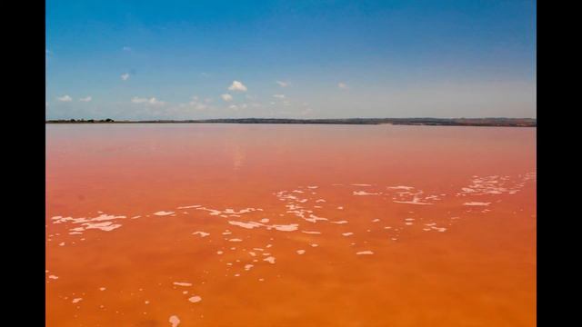 Torrevieja-el lago rojo смотреть онлайн