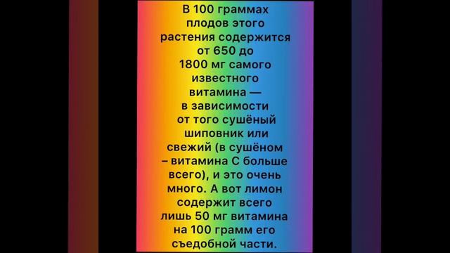 Викторина 7