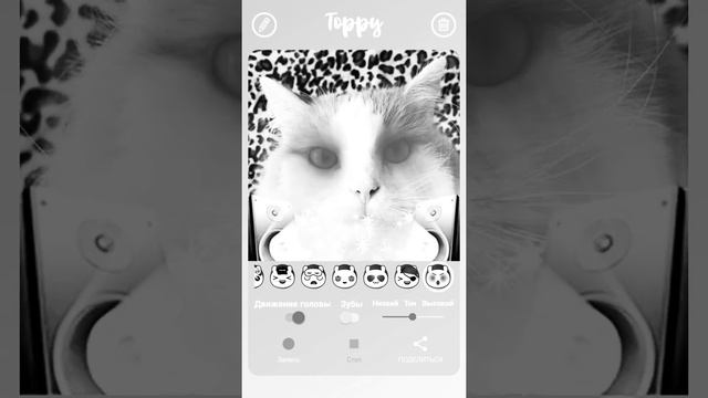 Кот поёт песню Cradles смотреть онлайн