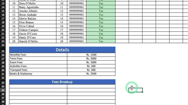 Student FEE RECORD System in Excel / Manage Your Student Fee Record with Excel смотреть онлайн