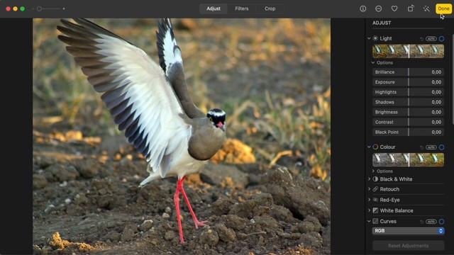 Как быстро и легко создать фотокнигу на Маке в редакторе PrestoPhoto. Руководство от iPrintPhoto.ru