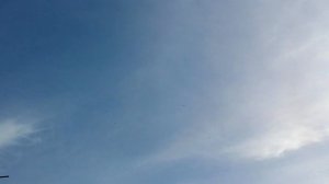 Полёт голубей. Турецкие Адана. // Flight of pigeons. Turkish Adana.