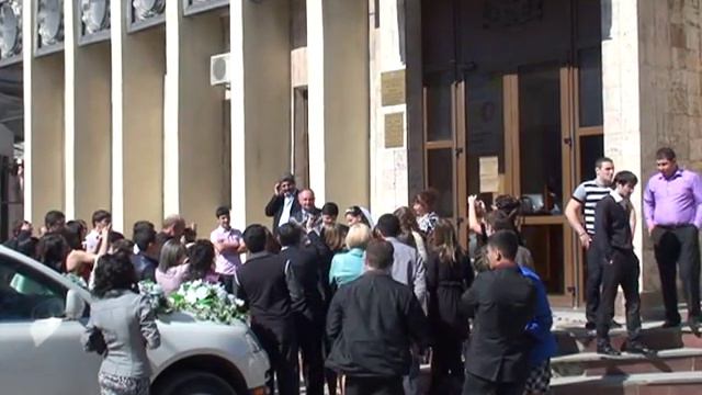 голуби плохо видят смотреть онлайн