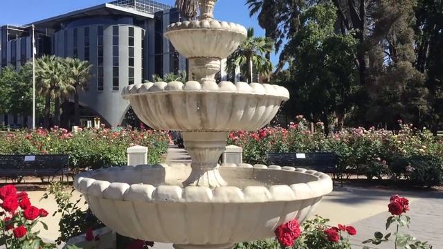 США. VLOG// Парк Роз. СВАДЬБА. Белый дом California State Capitol смотреть онлайн