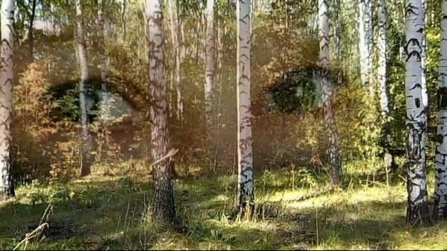 Королева снов !!! смотреть онлайн