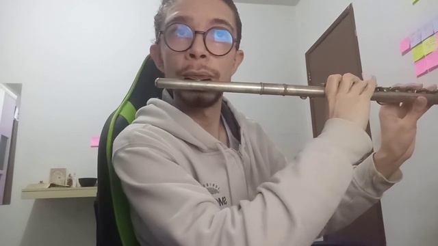 Kamado Tanjiro no Uta & Gurenge - Demon Slayer {Cover de Flauta Transversal} смотреть онлайн