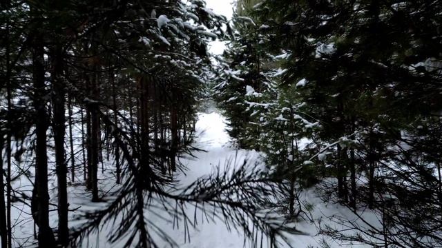 Стихотворение Ирины Самариной - Проходит всё... смотреть онлайн