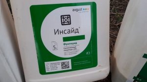 Лучшие препараты от фитофтороза и пероноспороза(милдью, ЛМР)