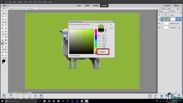 How to Use Fill Layers and Change Backgrounds in Adobe Photoshop Elements 15 Tutorial смотреть онлайн