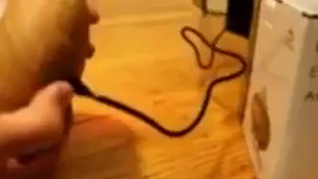 Biofinest Light Wood LED Ultrasonic Aroma Diffuser and Humidifier Review 140ML, 12W смотреть онлайн