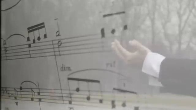 Jason Kouchak- Clair de Lune...Moonlight смотреть онлайн