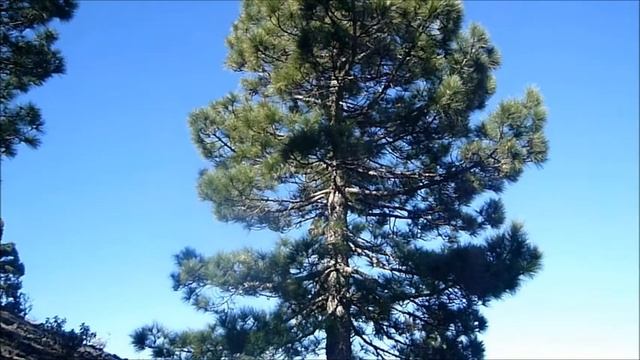 Tour de Volcán, Caldera de Taburiente смотреть онлайн