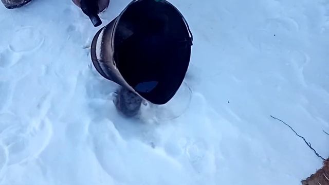 Замёрзла соляра, что делать!? смотреть онлайн