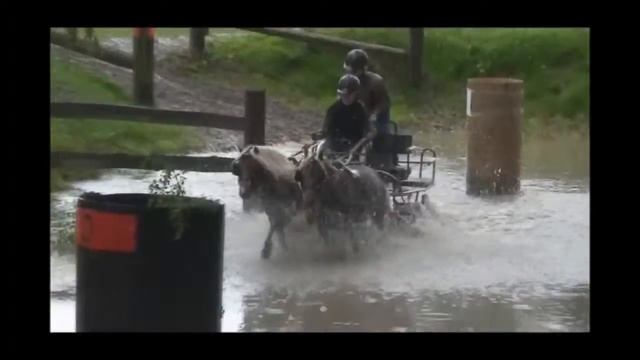 Немецкие классические пони - езда в упряжке. Часть II смотреть онлайн