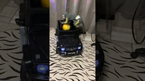 ЯХА СУЕТОЛОГ