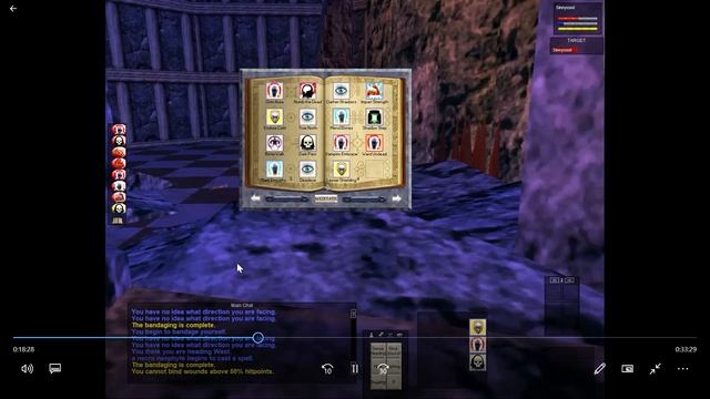 Corpse behind a LOCKED DOOR & no key!!/ Everquest Project 1999/ Part 8/ Dark elf Necromancer - gree смотреть онлайн