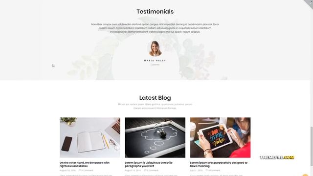 Lino Education University School WordPress Theme TMT colleges themes смотреть онлайн