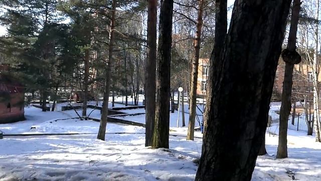 Детский городок Андерсенград в Сосновом Бору смотреть онлайн